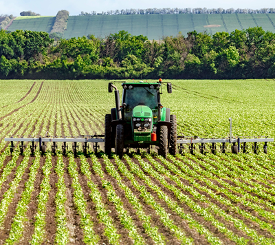 LYB agriculture market
