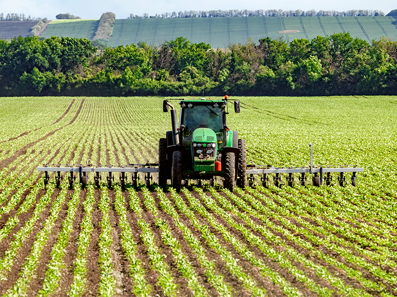 Agriculture