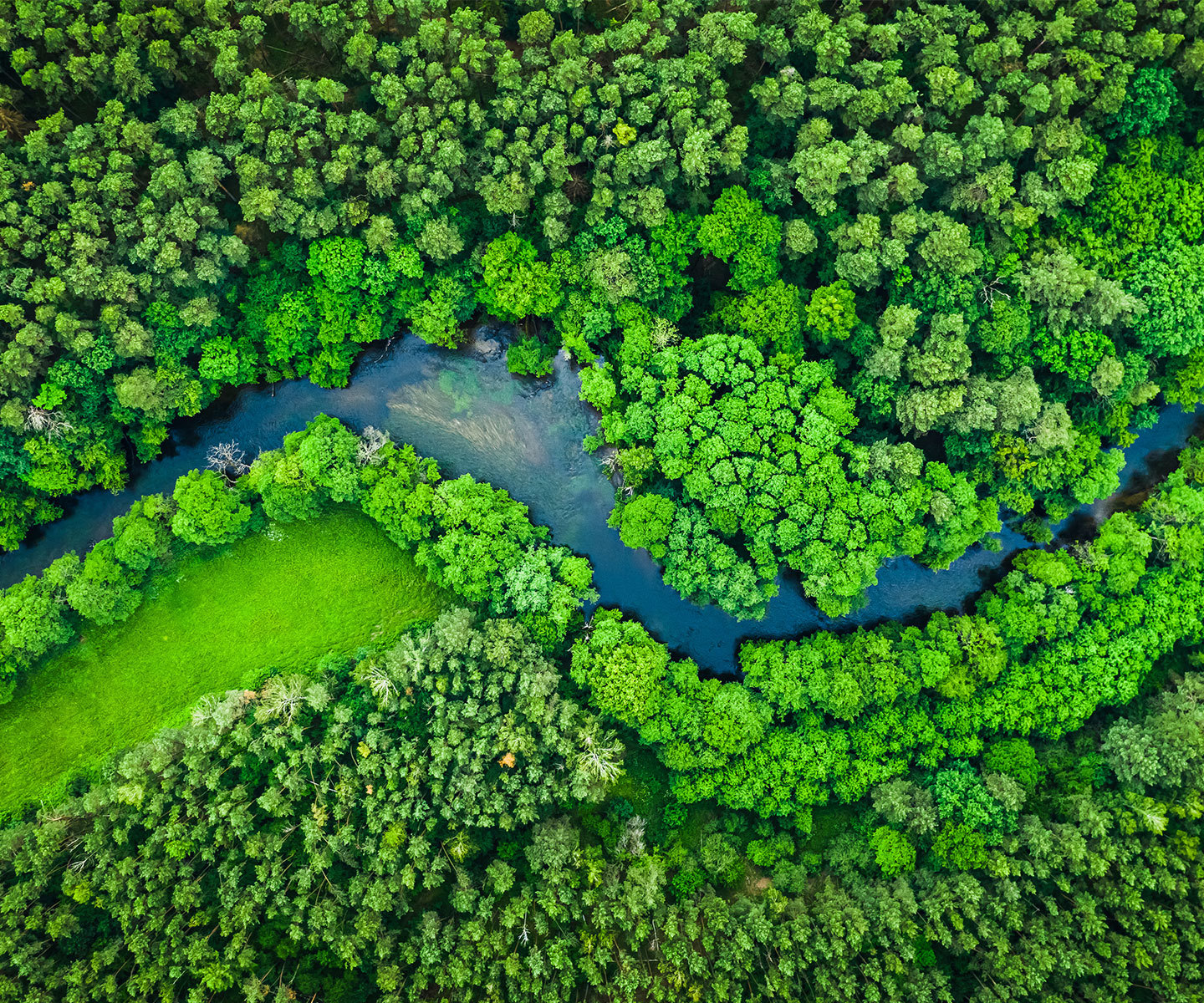 Aerial view of a winding river flowing through dense green forest.