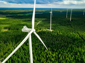 Wind turbines rising above a forested landscape, generating renewable energy.