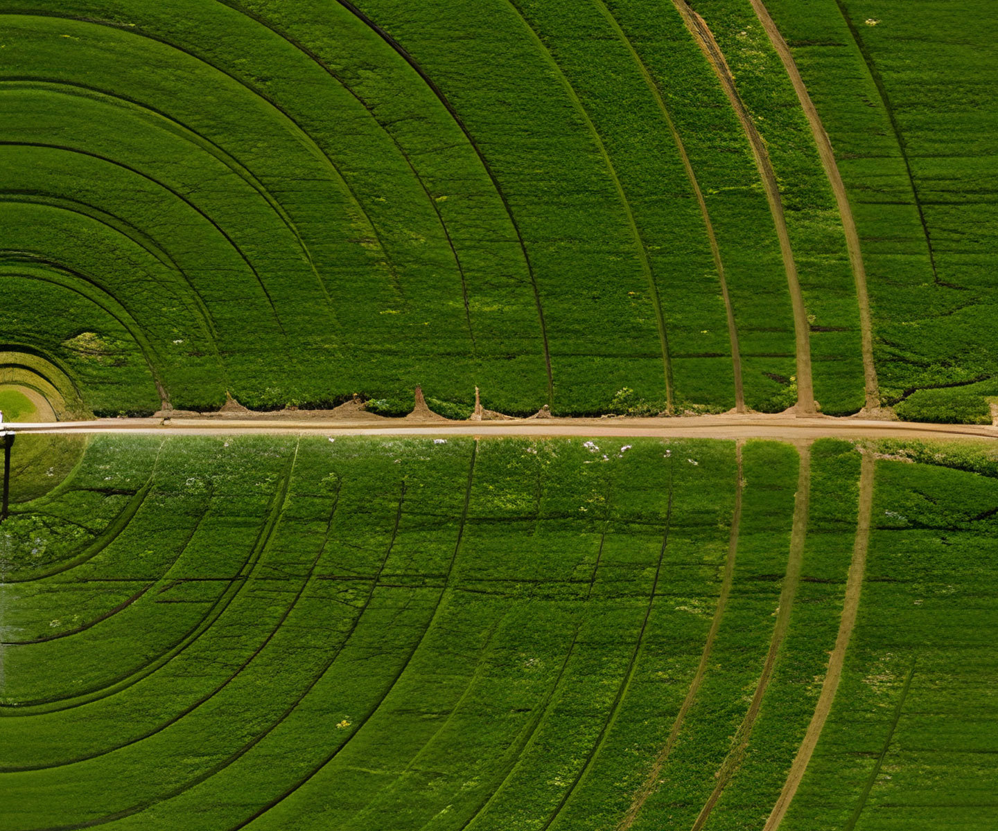 Aerial view of a bright green farm field showing large circular irrigation pattern, formed by center‑pivot sprinklers