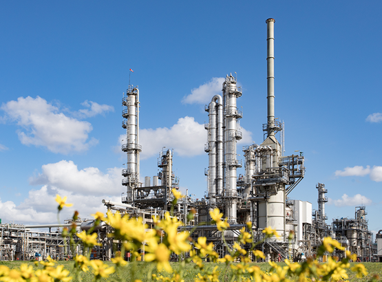 An LYB processing facility with tall towers and piping, viewed across a field of yellow wildflowers under a bright blue sky