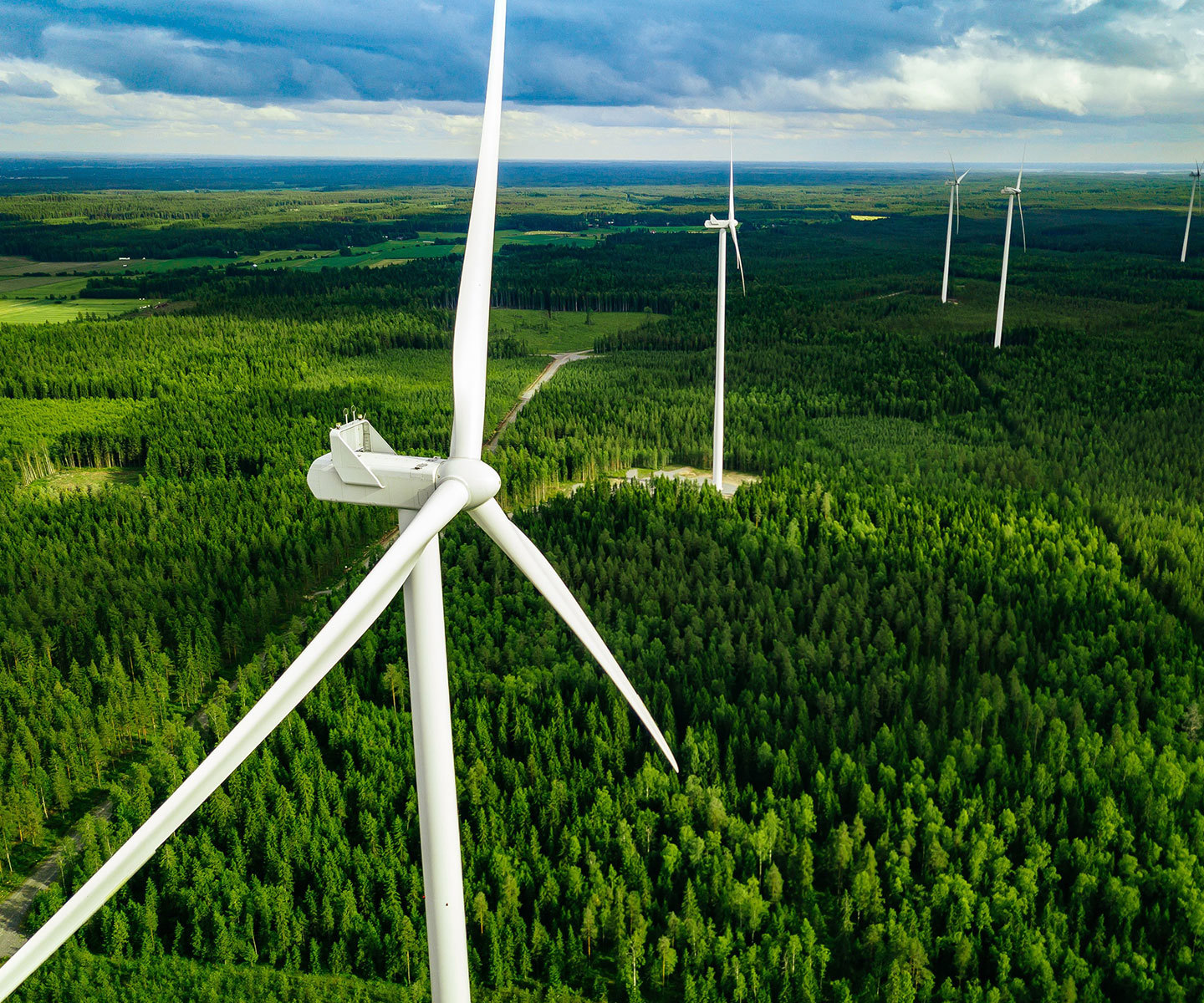 Wind turbines rising above a forested landscape, generating renewable energy.