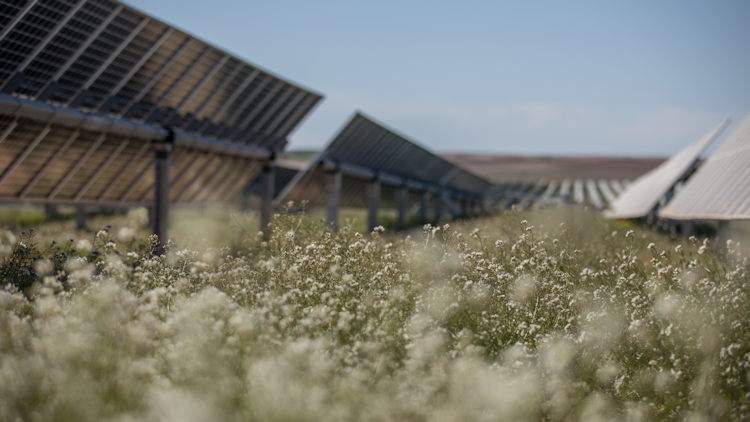 Lightsource bp´s solar project in Spain.